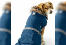 Winter Coats For Dogs