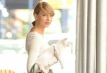 Taylor Swift's Cat